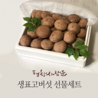 송향고버섯 선물세트-특품